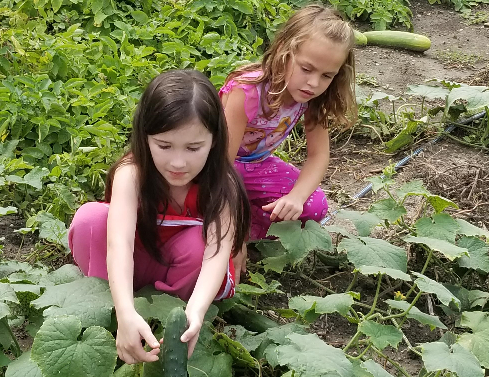 2019-08 Community Garden - Chloe, Abigail